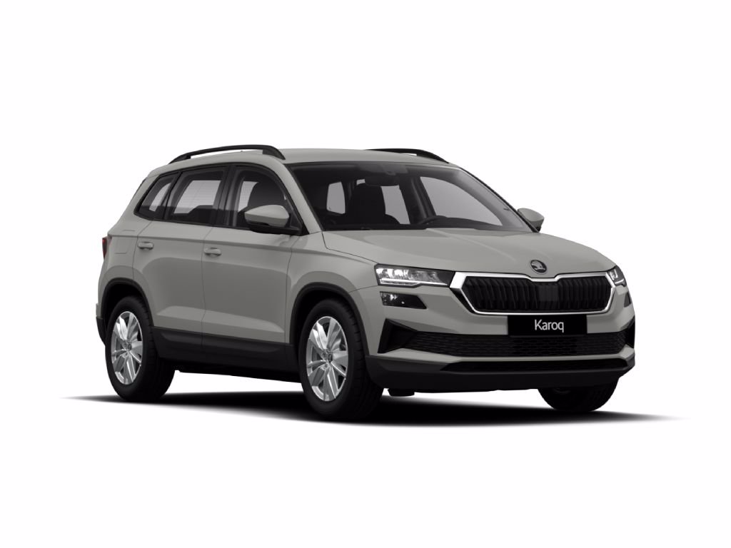 SKODA Karoq 2.0 tdi selection 150cv dsg