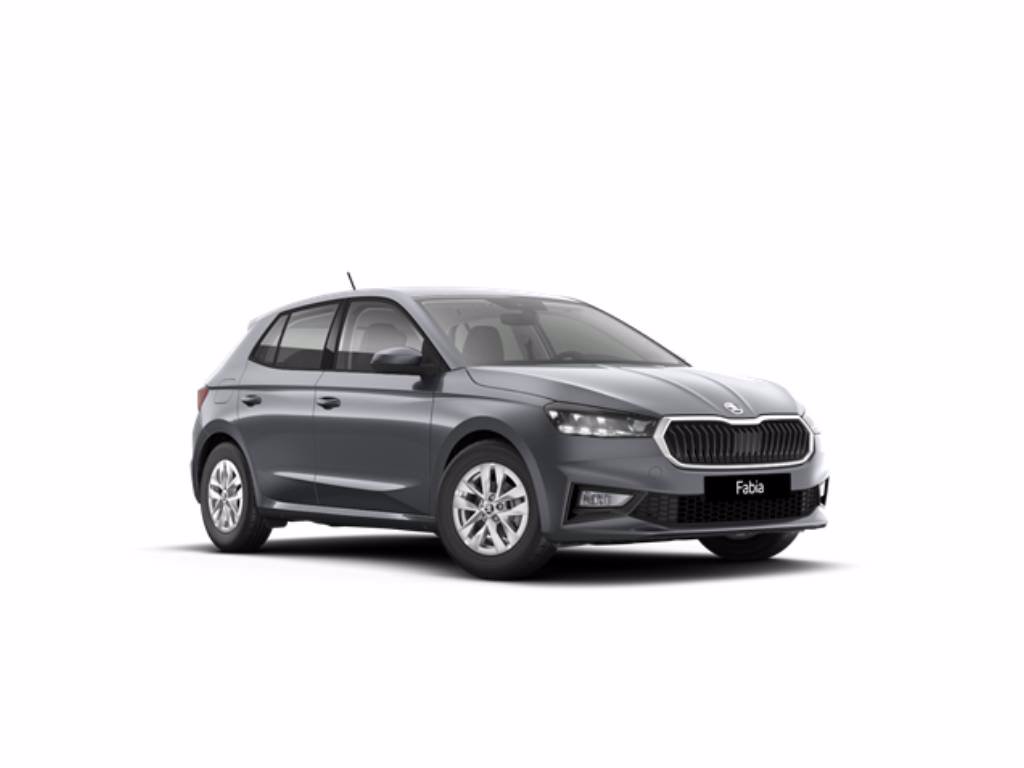 SKODA Fabia 1.0 mpi selection 80cv