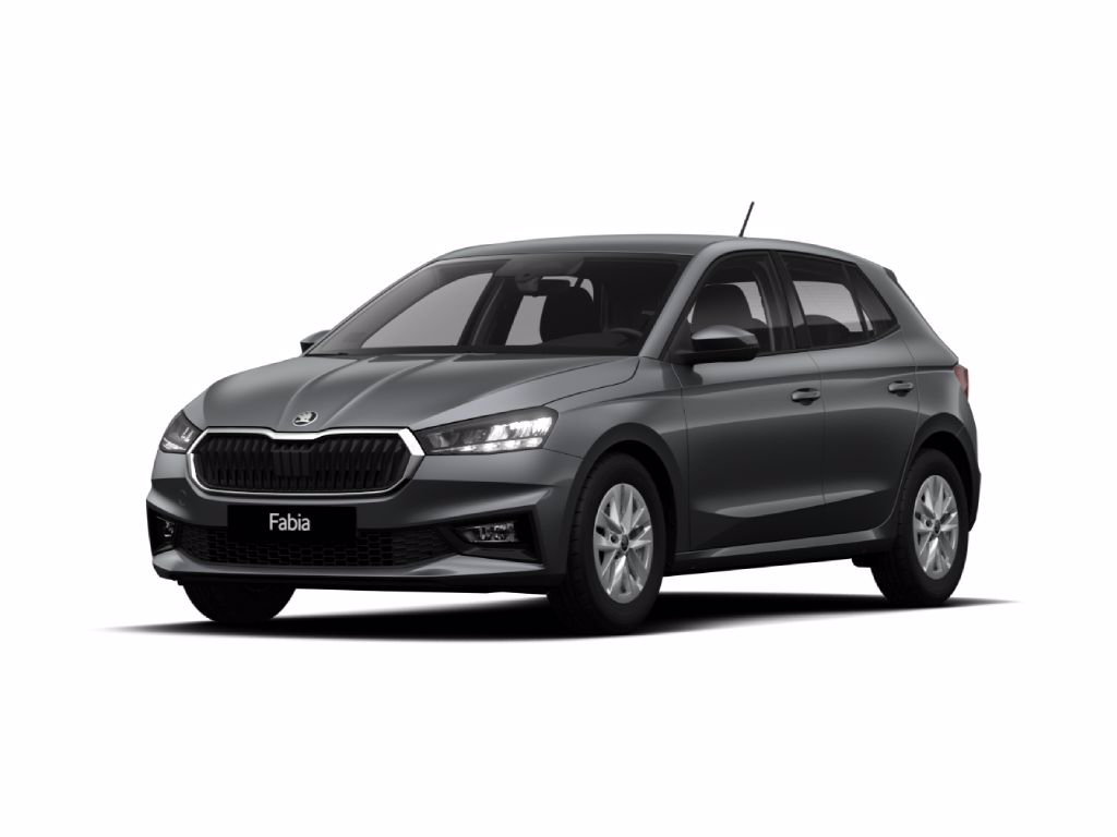 SKODA Fabia 1.0 mpi selection 80cv