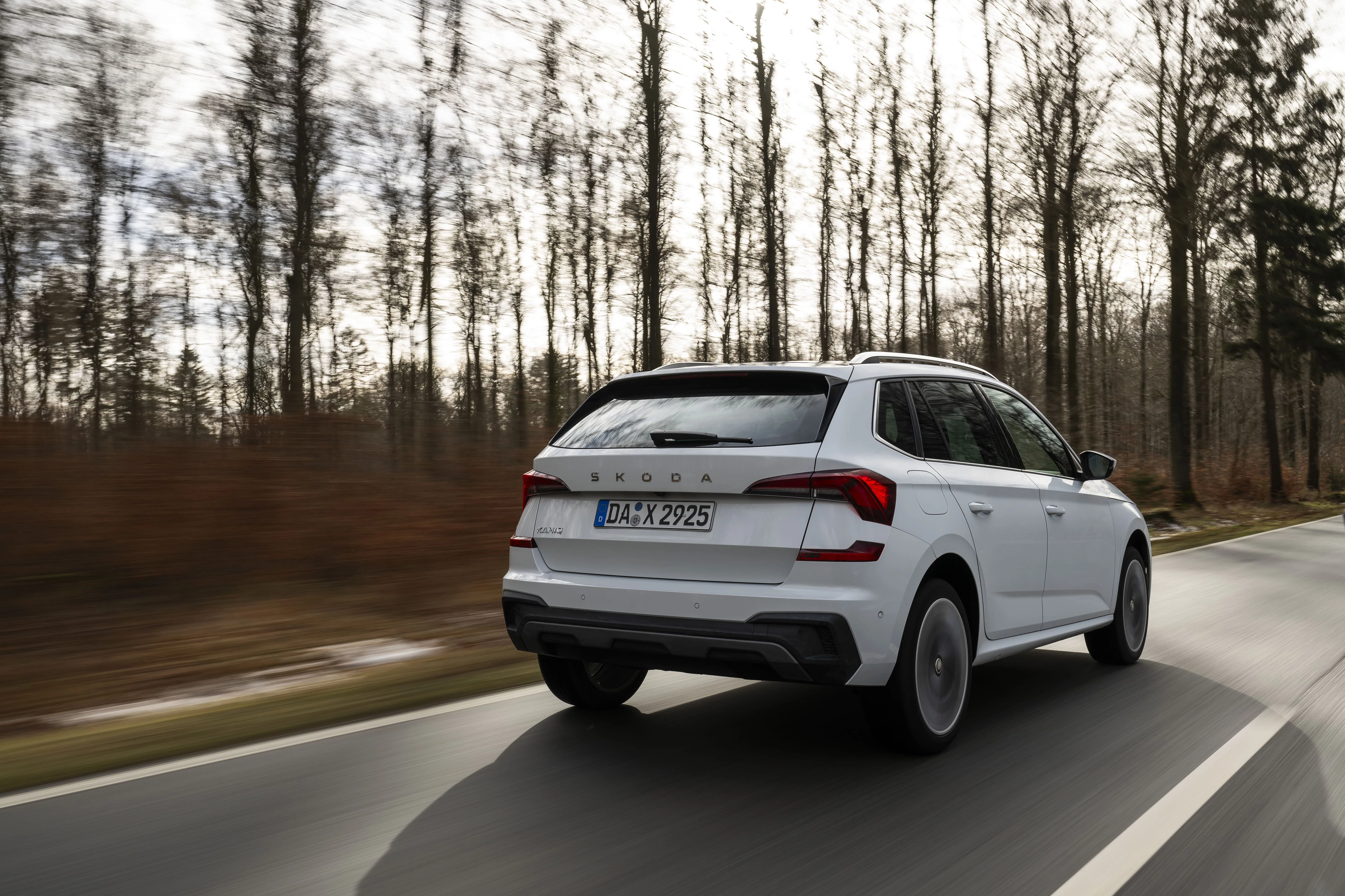 45 Skoda Kamiq 8602Cea4