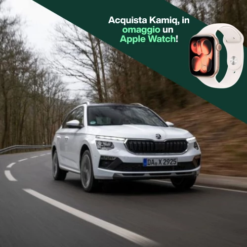 Anteprima Promo Kamiq (1)