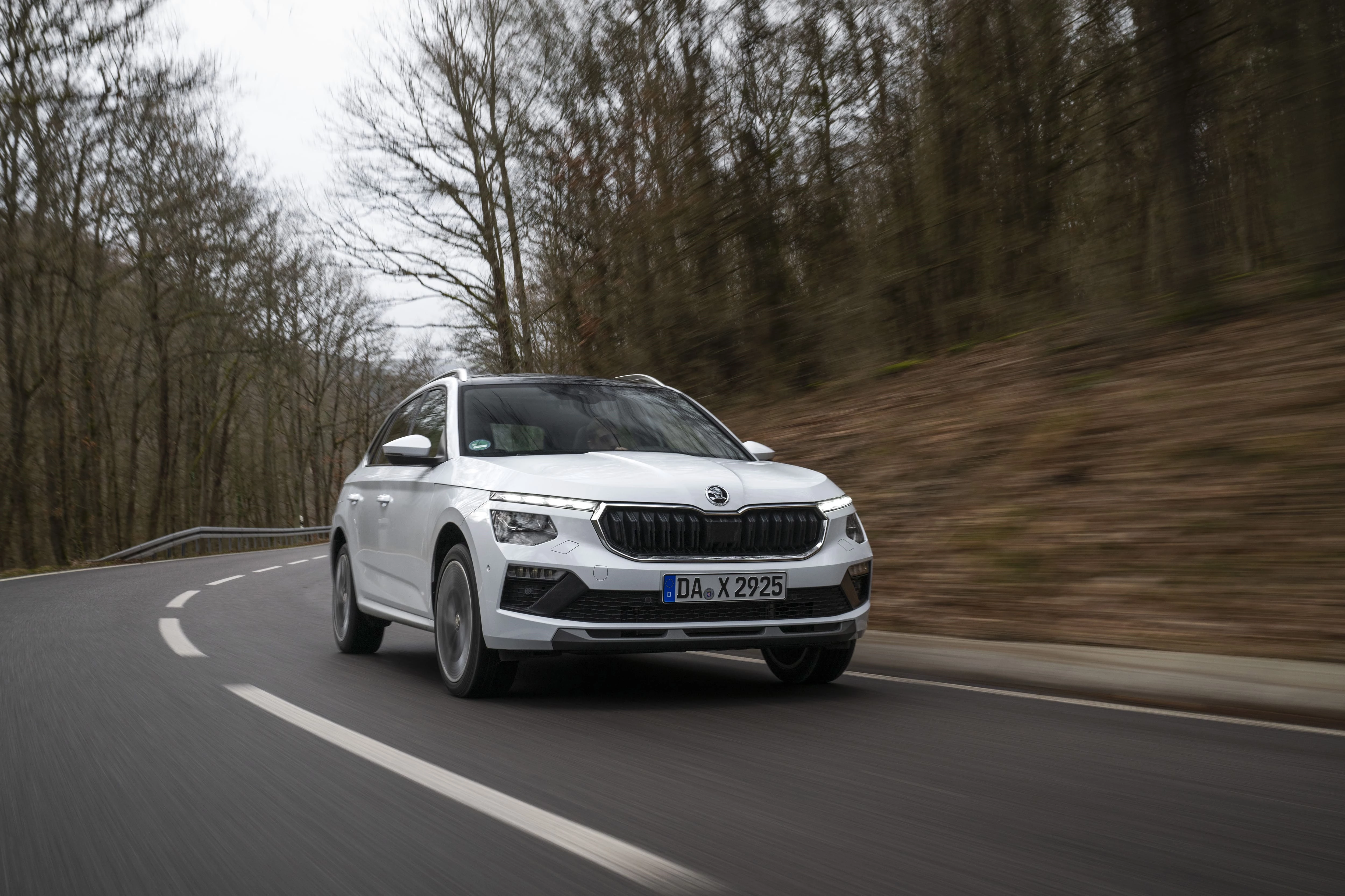 29 Skoda Kamiq D786b450